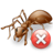 Termite Control