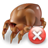 Bed Bugs Control