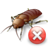 Cockroach Control